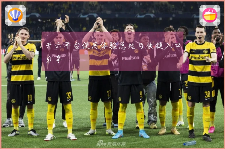 开云平台使用体验总结与快捷入口分享