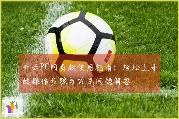 开云PC网页版使用指南：轻松上手的操作步骤与常见问题解答